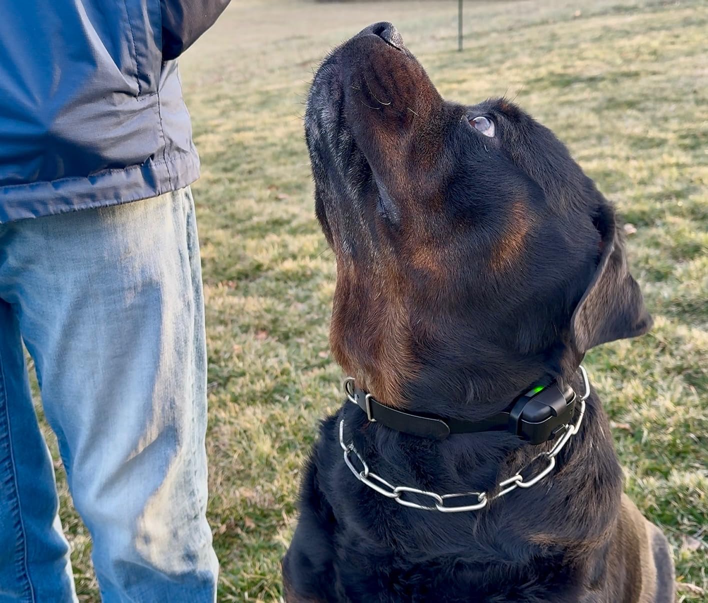 Dogtra 280X E-Collar with Remote [New Edition] 10 lbs+, 1/2 Mile Range, LED Light, 100 Levels of Precise Control for Stubborn Dogs, Waterproof, Boost for Quick Recall, Vibration, Safety Lock & Tone customer photo 1