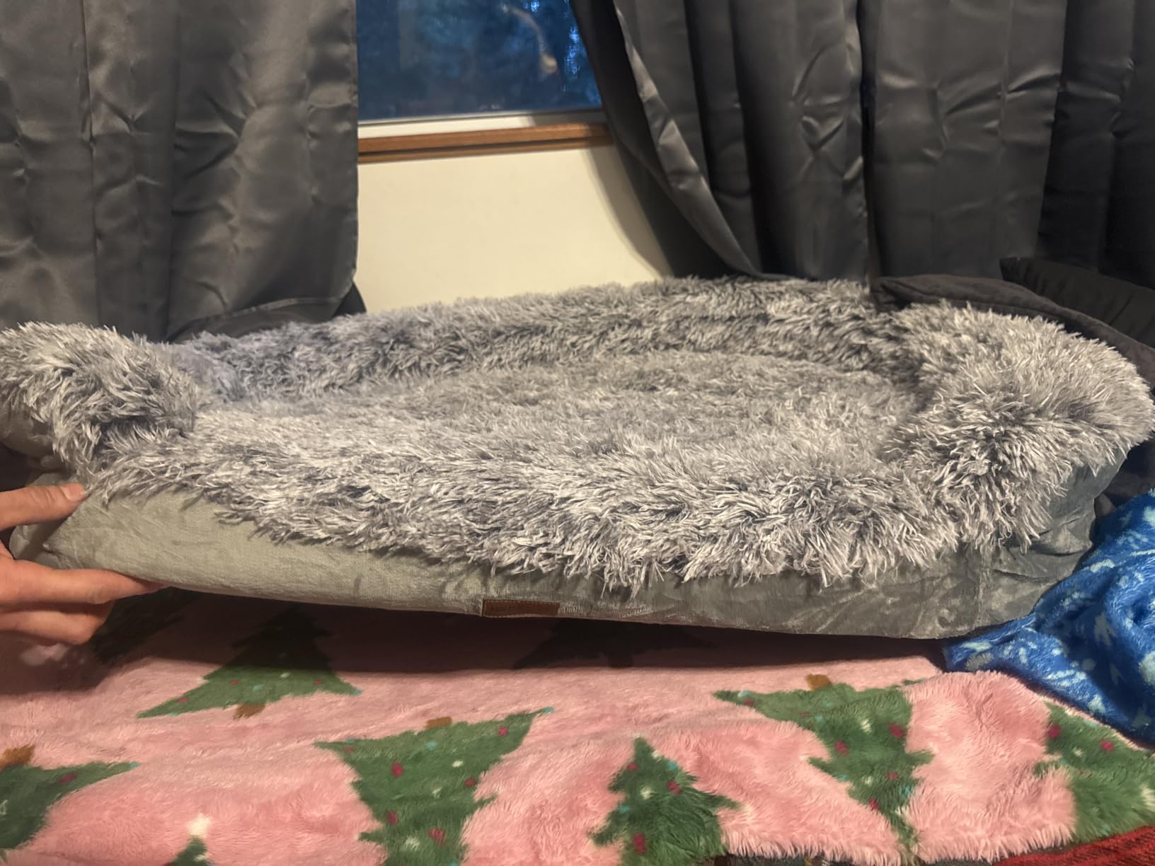 iweepet Fluffy Calming Orthopedic Dog Beds for Large & Extra Large Dogs, Supportive Dog Sofa Bed with 3.7 inch 28D Egg-Crate Foam, Removable Washable Plush Cover, Waterproof Lining, 44'', Grey customer photo 2