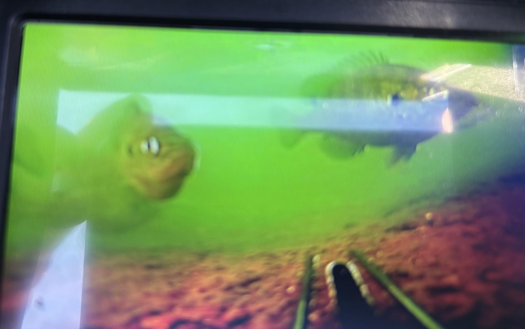 Underwater Fishing Camera 1080P HD 4.3