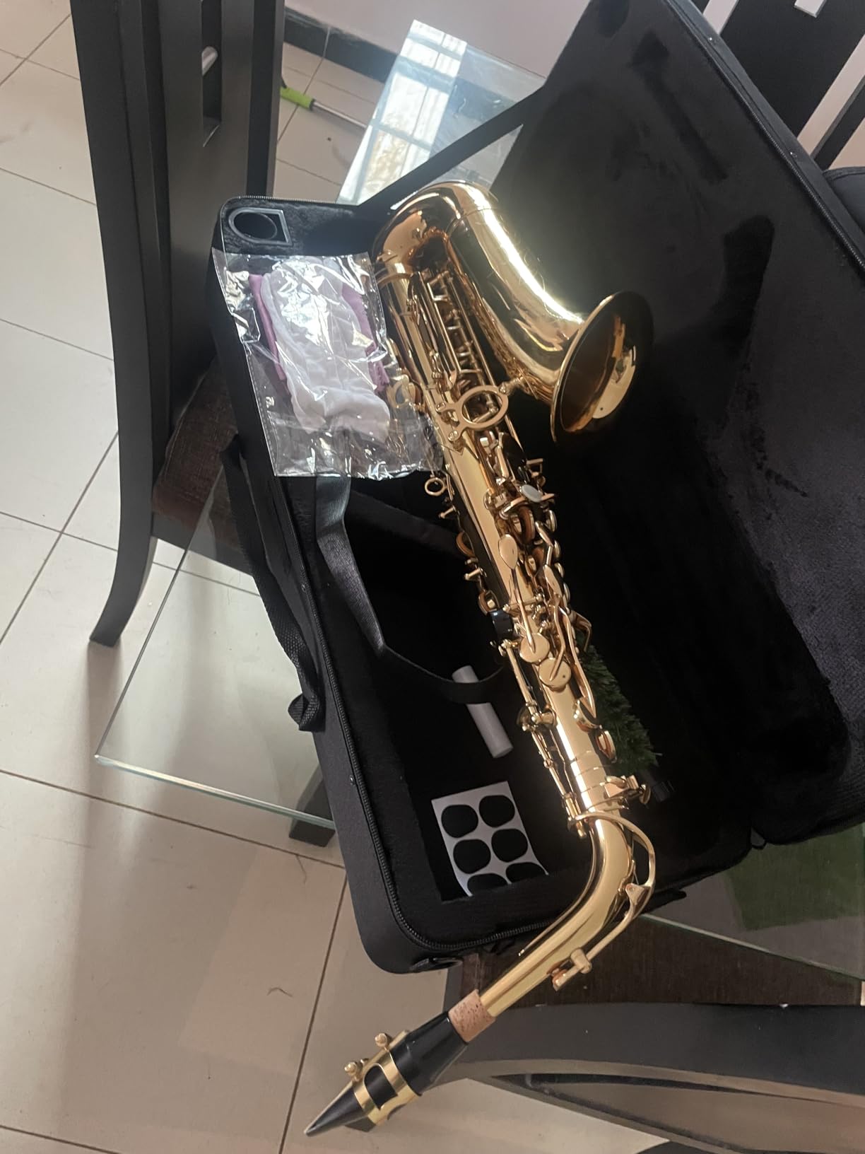 Beginner Alto Saxophone, E Flat - Complete Starter Kit with Case & 10 Reeds, for Adults & Students (Gold) customer photo 1