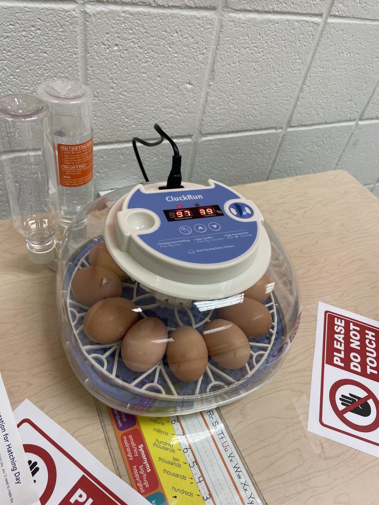 12 Egg Incubators for Hatching Eggs, Temperature and Humidity Control, Automatic Egg Turning, Egg Candler, Automatic Water Refill, for Chicken, Quail & Duck Eggs, Perfect for Home, Farm, Classroom customer photo 1