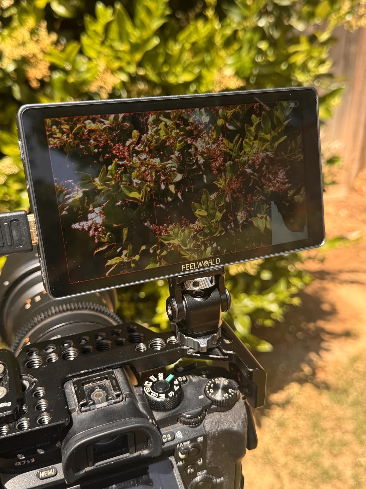FEELWORLD P6XL 6