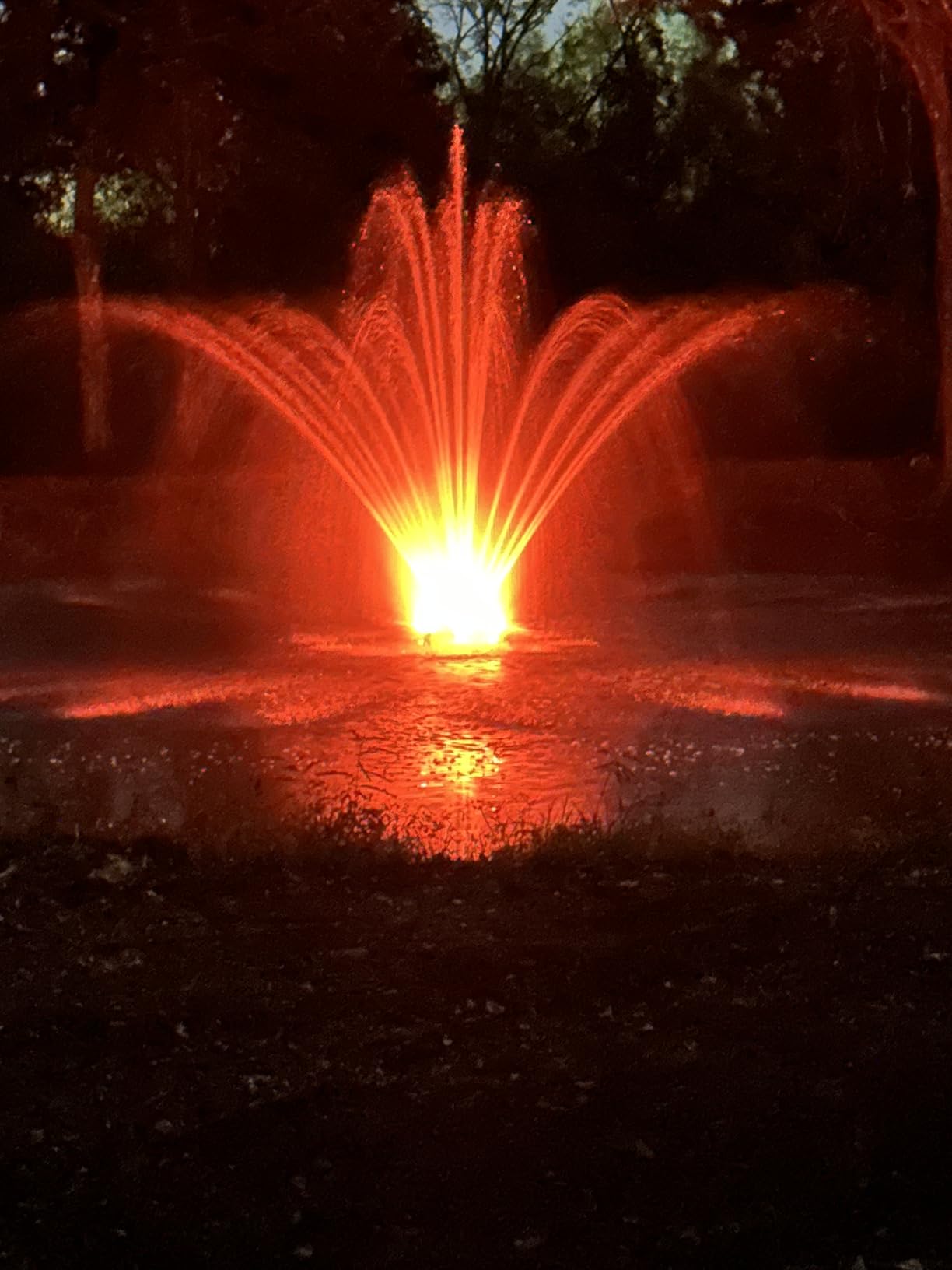 FS01 110V, 1 HP, Large Pond Floating Fountain with LED RGB Lights, Oil Free Pump 13000 GPH with 100’ Cord, Two Spray Patterns Included customer photo 1