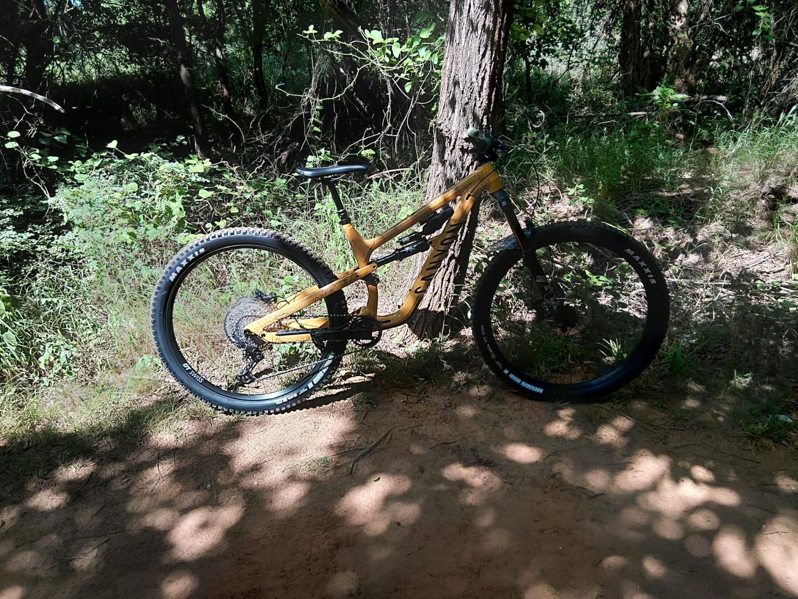 Canyon Spectral 6 customer photo 1