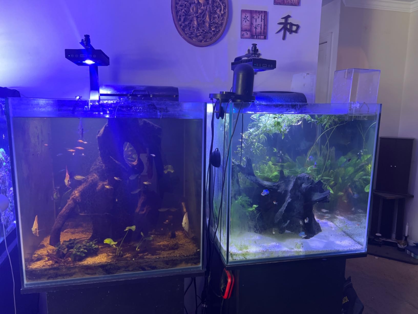 Bulk Reef Supply 4 Stage Value Plus 75 GPD RO/DI Reverse Osmosis Deionization System customer photo 1