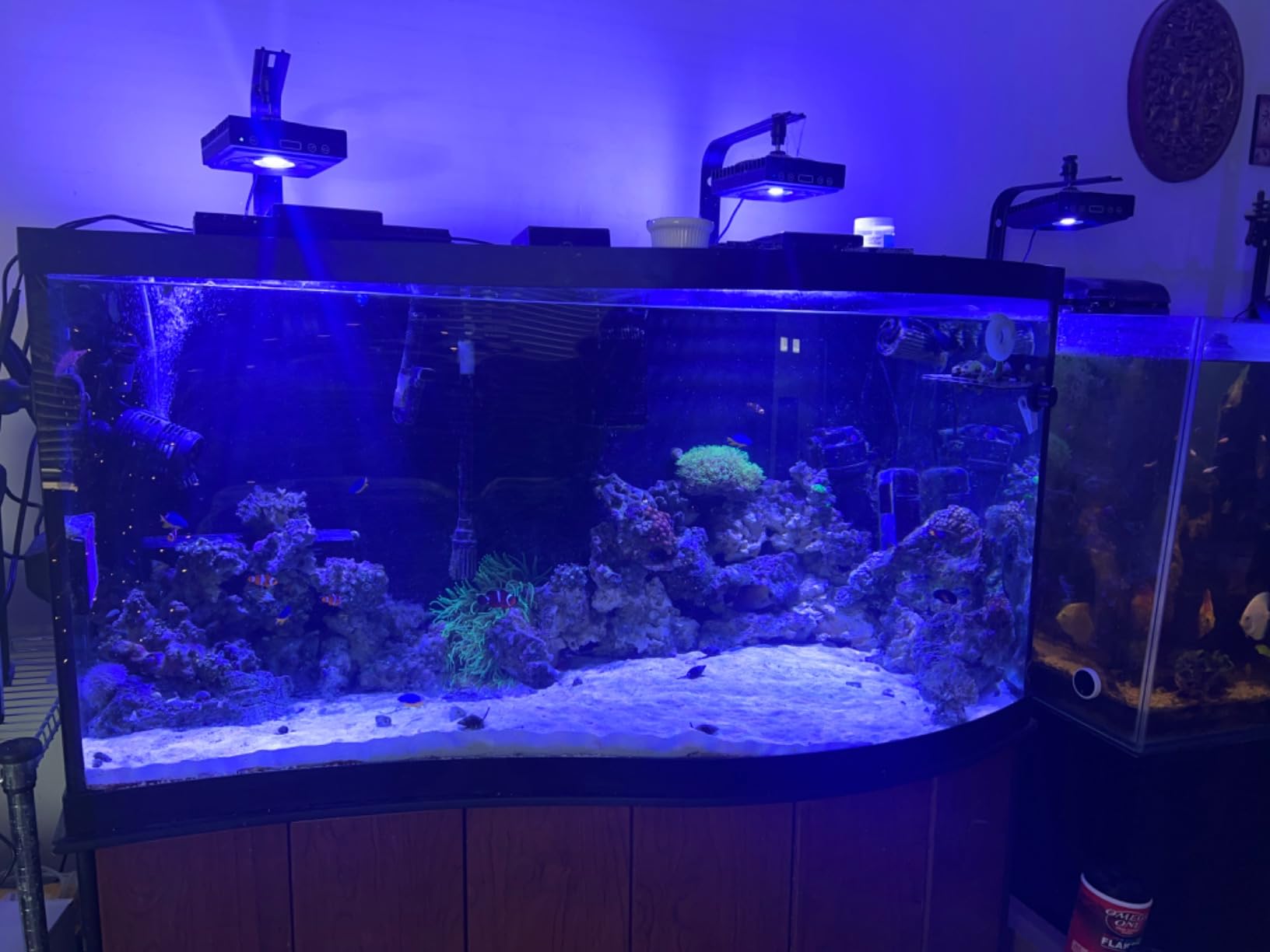 Bulk Reef Supply 4 Stage Value Plus 75 GPD RO/DI Reverse Osmosis Deionization System customer photo 2