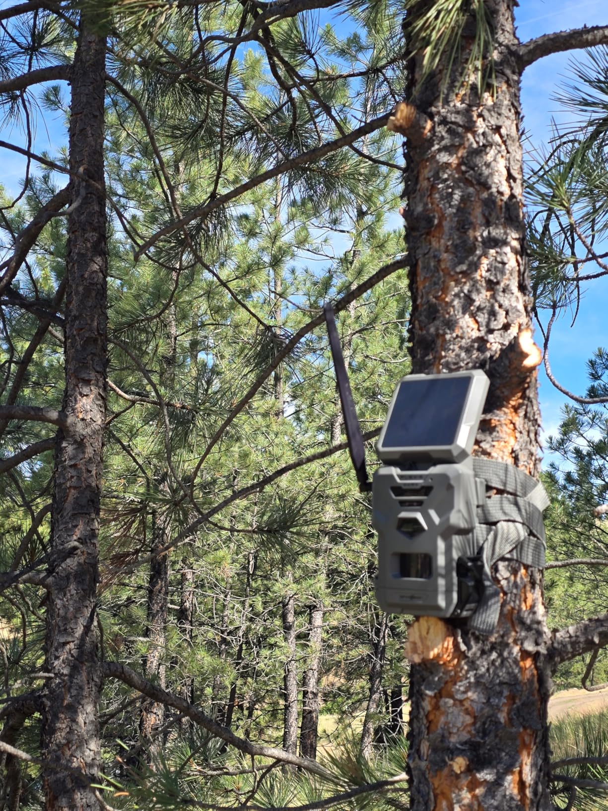SPYPOINT Flex-S-Dark Solar Cellular Trail Camera - Built-in Solar Panel, 40MP Photos, 1080p Videos + Sound, No-Glow Game Camera, Night Vision, Motion Activated customer photo 2