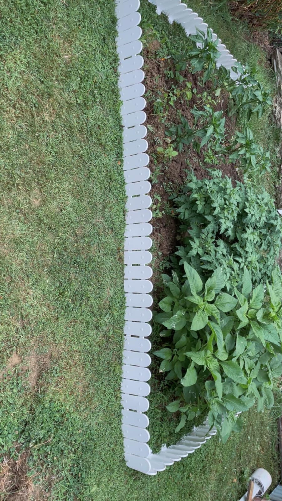 Garden Border Plastic Edging: Wooden Fence Design - 8pcs Brown Yard Landscaping Fence Liner Lawn Edge Barrier - 10ft Kit of Decorative Lawn Panels Elements - Landscaping Edging customer photo 2