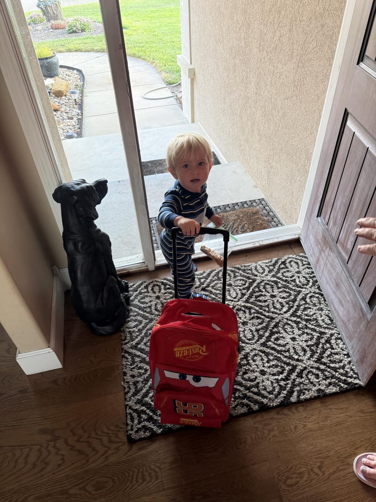 Disney Cars Lightning McQueen Carry-On Luggage with Wheels & Telescopic Handle for Kids 17”– 18.5L, Lightweight Travel Bag for Boys & Girls, Trips & Vacation Gifts customer photo 1