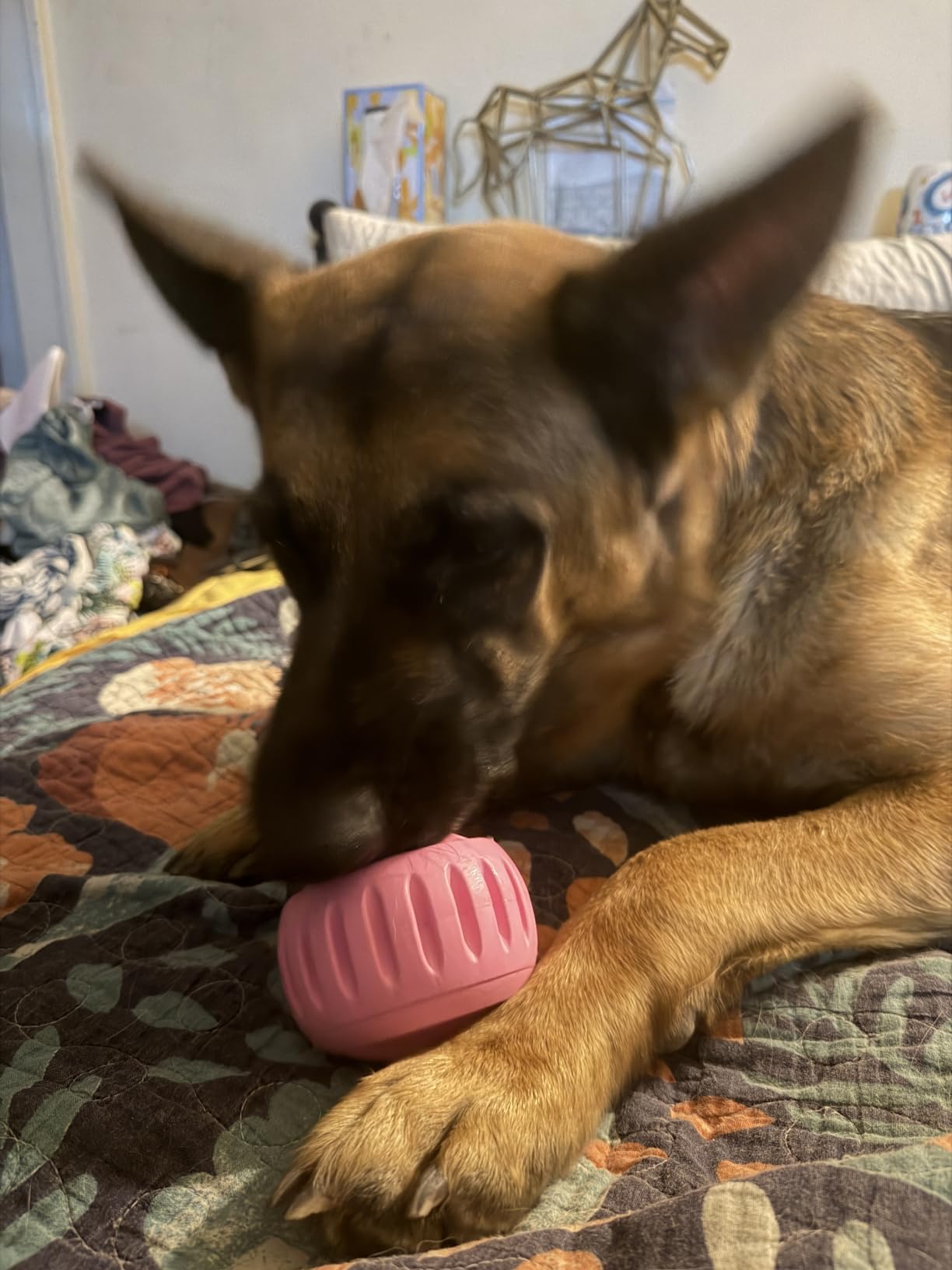 WOOF Pupsicle Interactive Dog Ball Toy for Dogs Small 10-25 lbs - Pink | Long-lasting enrichment toy for small dogs, easy-fill design, low-mess play, made of natural rubber, easy to clean customer photo 2