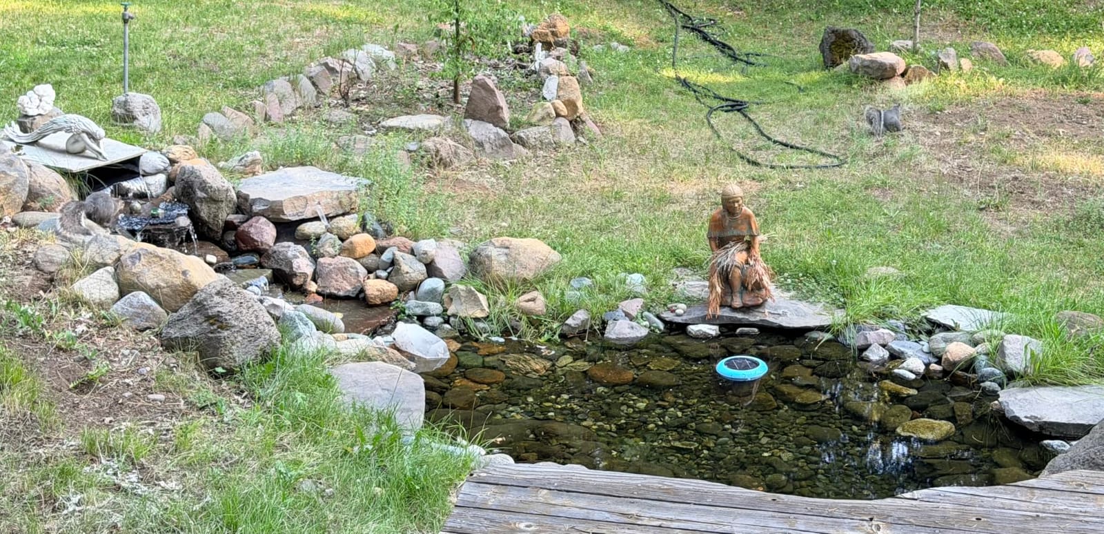Solar Pool Ionizer for Pools up to 45,000 Gallons, Enhanced with Latest Solar Technology & Longer-Lasting Anode customer photo 1