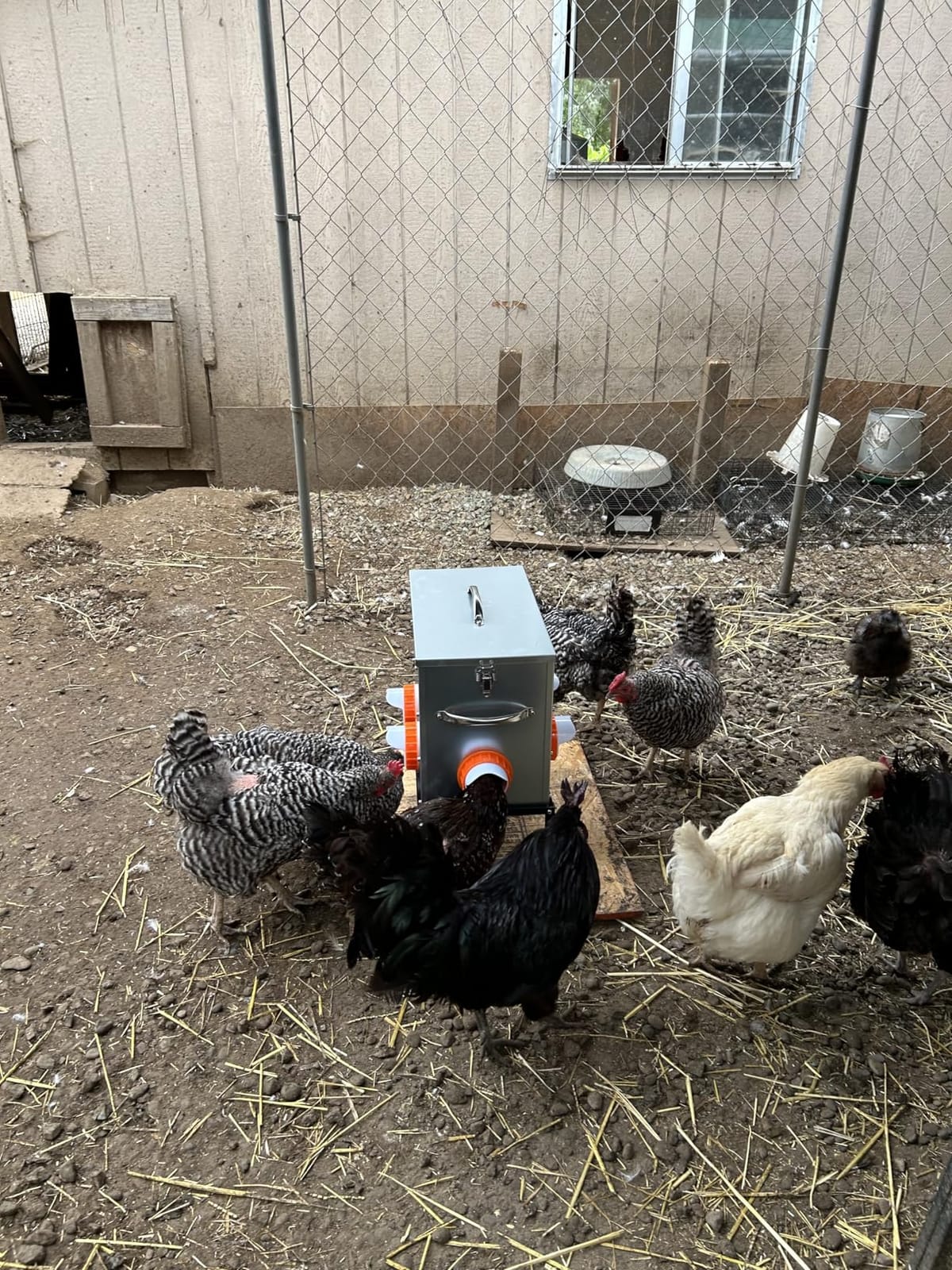 Metal Chicken Feeder 40lb, No Waste Automatic Chicken Feeder with Window, Galvanized Large Capacity Poultry Equipment, Rodent Proof, Rat Proof, Weatherproof Silo, Outdoor Coop customer photo 1