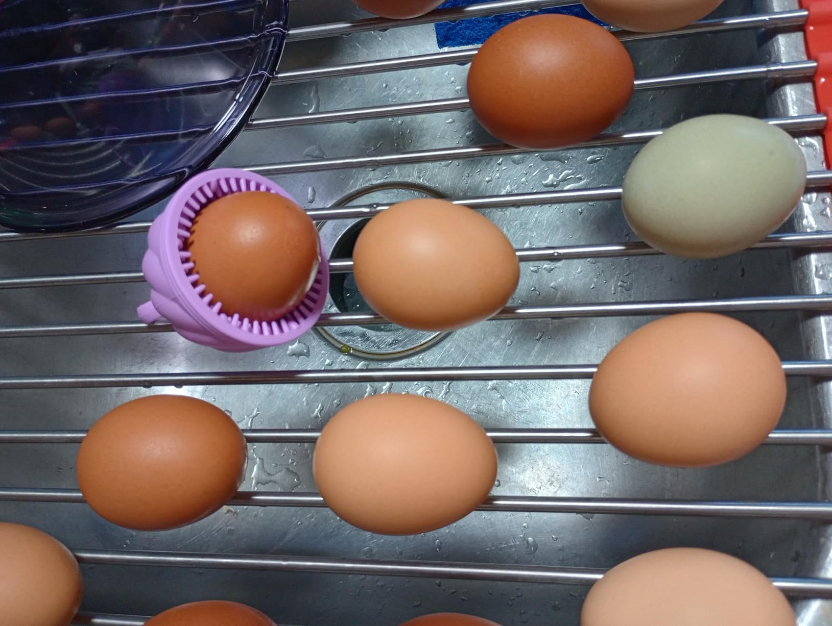 Egg Washer for Fresh Eggs - Upgraded 2.0 Silicone Egg Scrubber, Farm Fresh Egg & Vegetable Scrubber, Dishwasher Safe, Gentle on Shells (Green 2 Pcs) customer photo 1