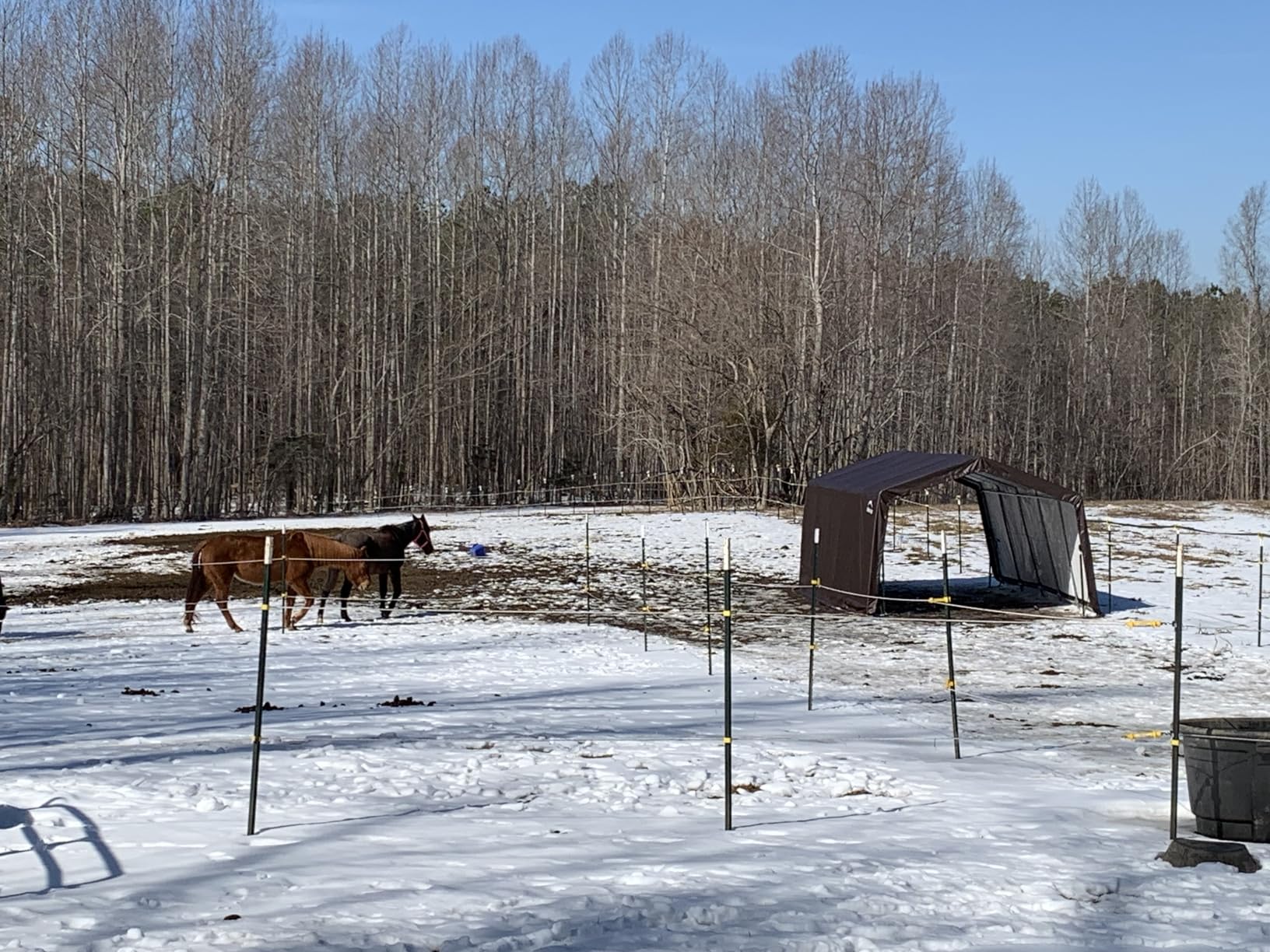 ShelterLogic 12' x 12' x 8' 3-in-1 Outdoor Loafing Shed Animal Shelter with Waterproof Cover, All-Weather Outdoor Storage Shed for Animals, Agriculture, and Farm Equipment, Brown customer photo 2