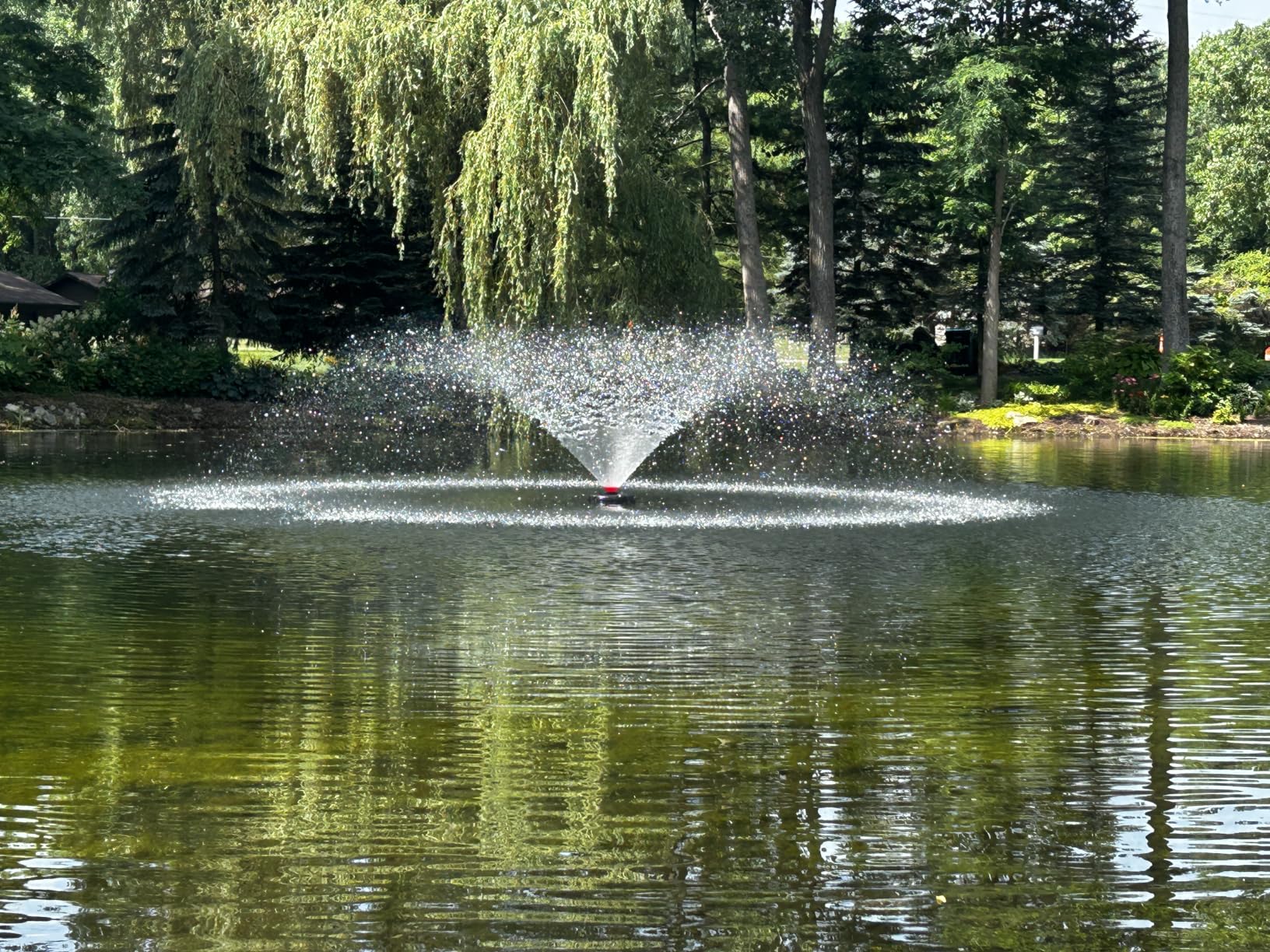 Pond Fountain Aerator, 1HP 110V 750W 15000 GPH Floating Fountain Pump with 100 FT Power Cord, 2 x 100 FT Rope, Timer, Fully Automatic Powerful Aerating Fountain for Larger Ponds, Lakes customer photo 1