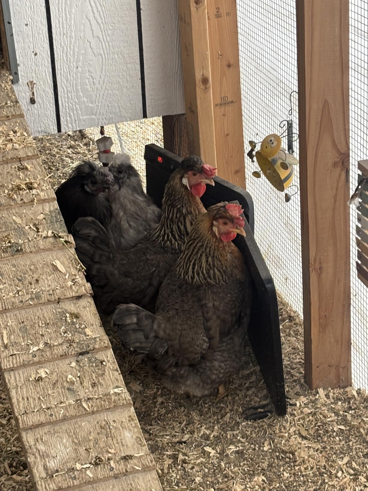 HOPOCO Smart Chicken Coop Heater with Efficient Thermostat, Compatible with Timers & Temp Controllers, 200W Safe Inside Radiant Flat Panel Warmer, Remote-Adjustable for Pets & Animals in Winter customer photo 2