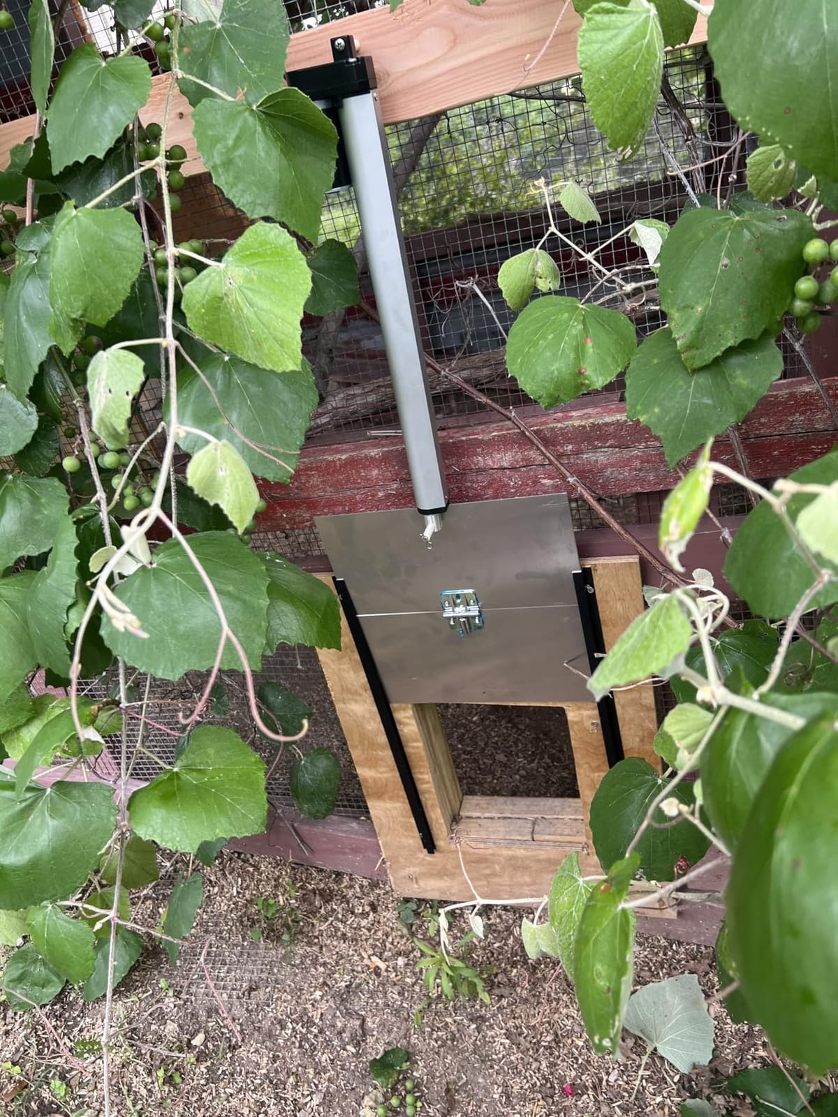 JVR Automatic Turkey Coop Door with Timer, Extra Large 22