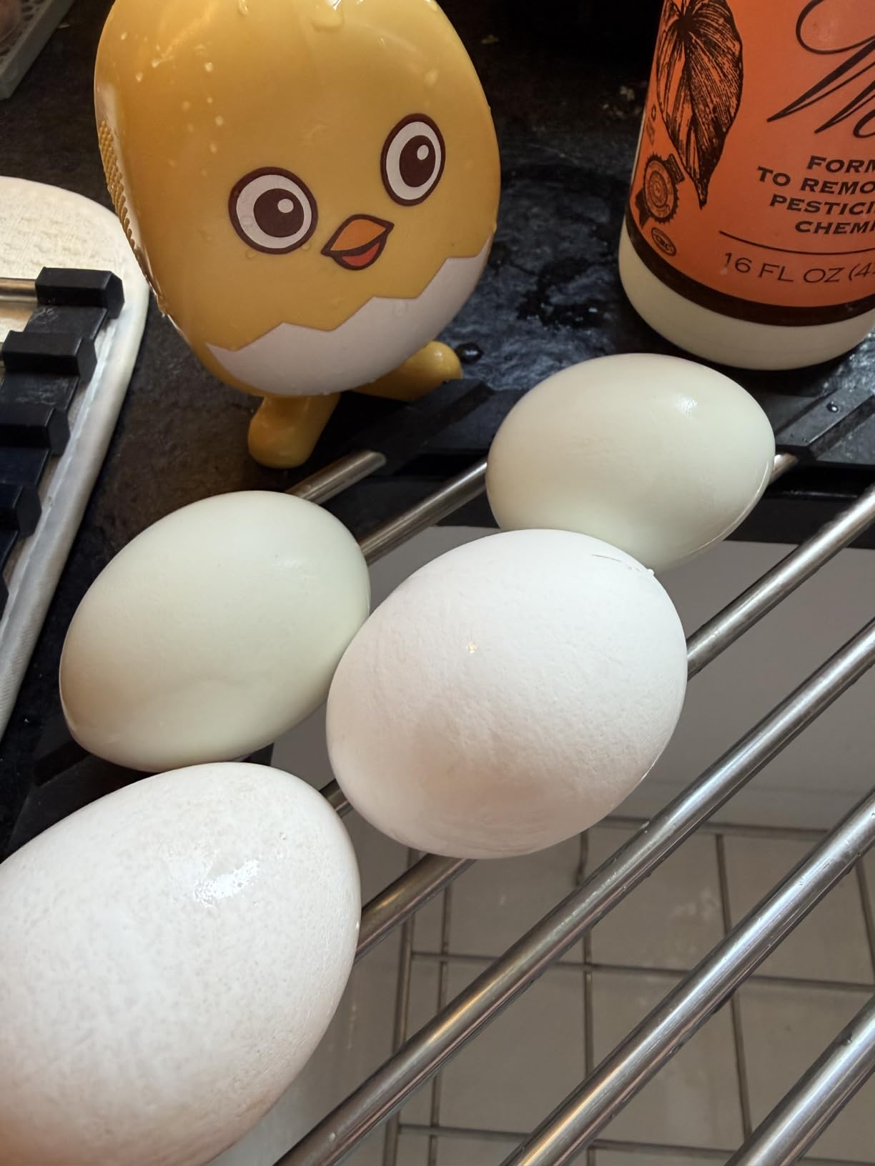 Lumkew Egg Washer Cleaner for Fresh Eggs, Egg Wash and Brush Scrubber, 1pcs | Cleaning Eggshell, Universal, Cute Chicken Coop Essentials customer photo 1