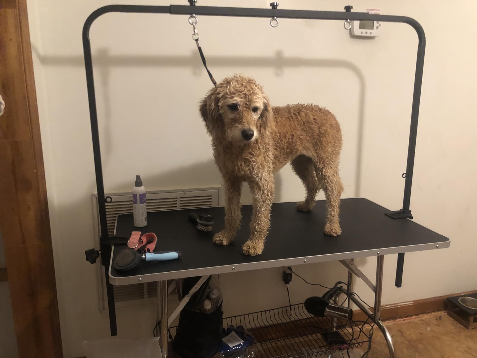 SHELANDY 46-in Dog Grooming Table for Large Pets customer photo 1
