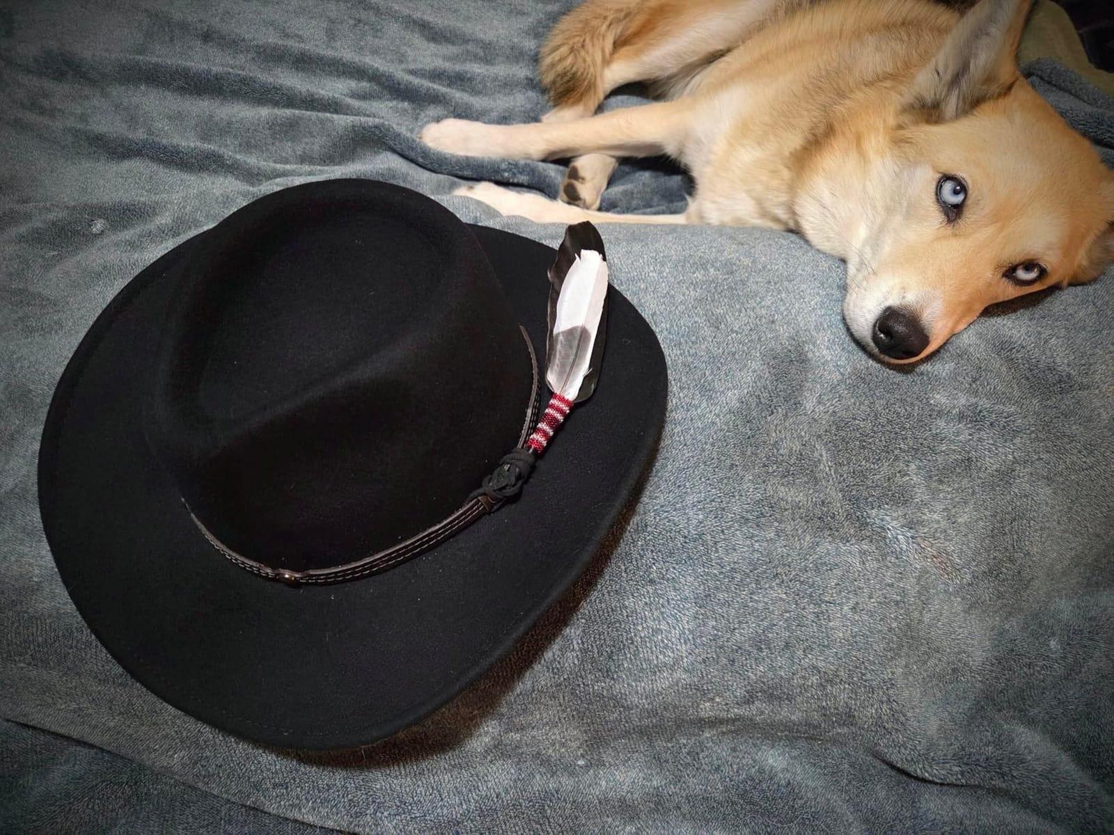 Rocky Wool Felt Cowboy Hat - Classic Western Fedora with Wide Brim, Windproof, UPF 50+ for Men and Women customer photo 1