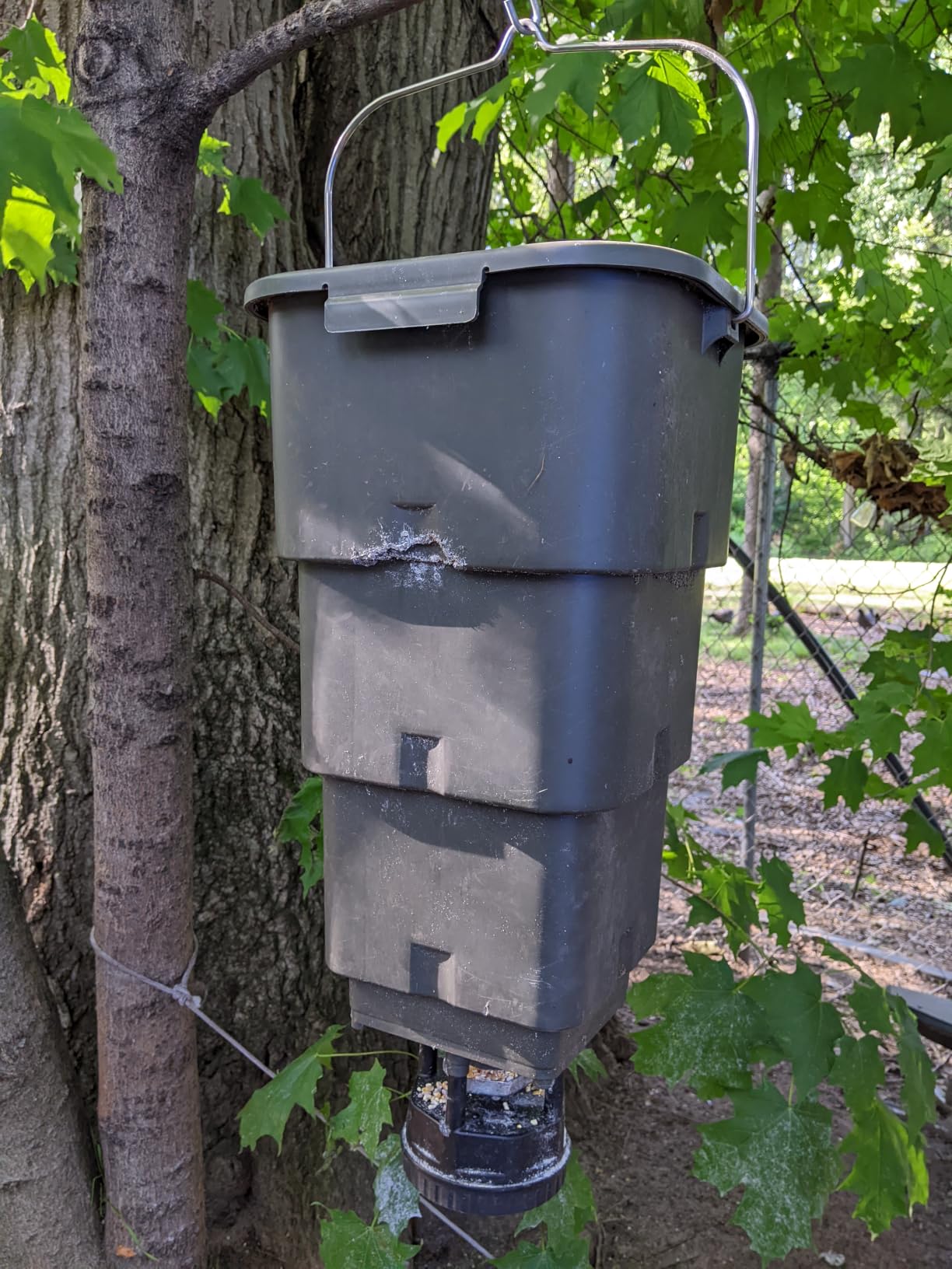 5 Gallon Hanging Deer Feeder with Programmable Digital Timer (4 Feed Times) | Automatic Game Feeder, Easy Installation, Batteries Not Included customer photo 1