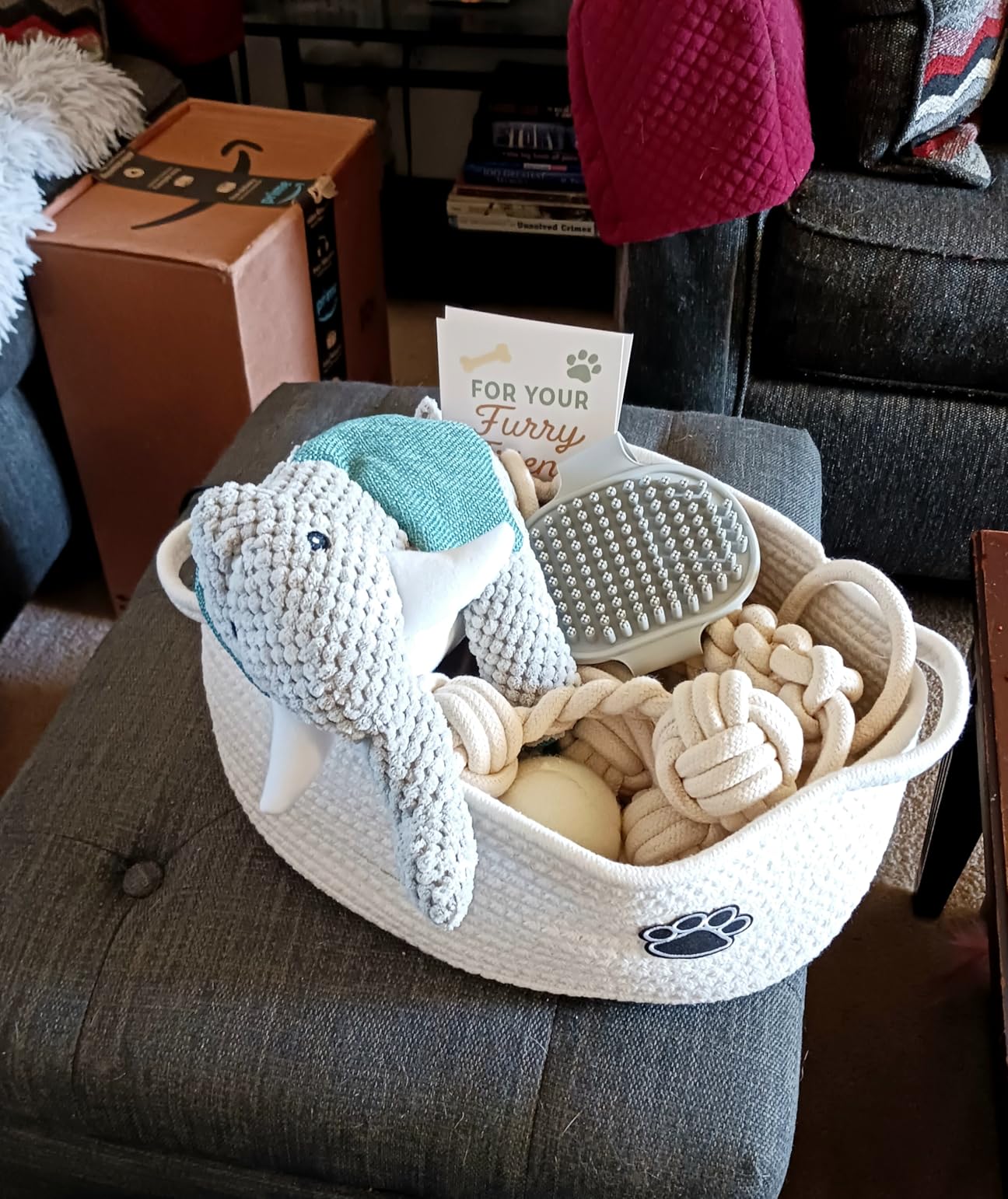 Dog Gift Basket - Puppy Starter Kit, Welcome New Puppy Gift Basket with Interactive Toys Bundle, Perfect Dog Birthday Set with Chew Toys, Pet Essentials for New Owners customer photo 1