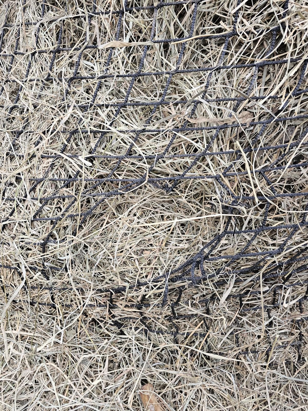 Martx 5x5ft Round Bale Hay Net for Horses Slow Feed, Knotless Feeder | Fits 4x4, 5x5, and 6x6 Round Bales: Heavy duty 1.5-inch hole feeder nets for horses, goats, and cattle to reduce hay waste. customer photo 1