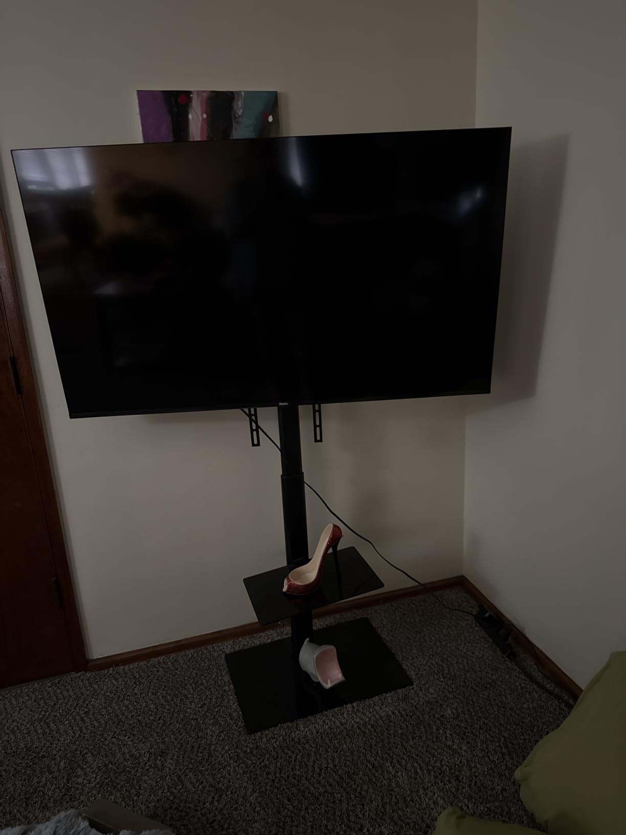 Roku Select Series customer photo 2