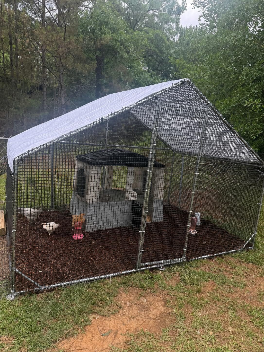 CAMMOO Metal Chicken Coop with Run, 9.8x6.6x6.6ft Walk-in Chicken Run for Yard with Cover, Upgrade Double Lock & Tough Mesh, Stainless Steel Ties, Easy Assembly, Chicken Pen for Ducks, Rabbits customer photo 1