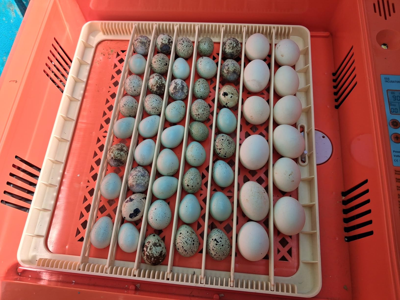 VEVOR 400 Egg Incubator, Poultry Incubator Cabinet with Automatic Eggs Turning, Temperature & Humidity Control, Heating & Cooling Egg Hatcher, Commercial Incubators for Hatching Chicks Ducks Goose customer photo 1
