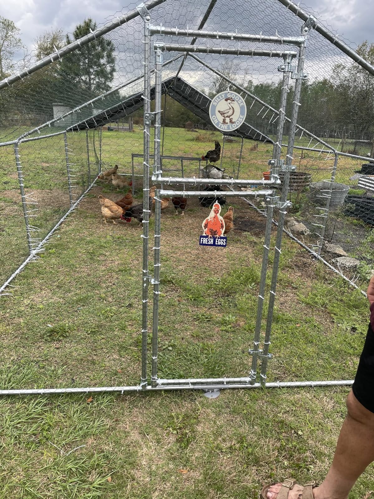 WUKHG Large Walk-in Metal Chicken Coop with Dutch Door and Perch, 10x26FT | Galvanized Steel Frame, Easy Assembly, 420D Waterproof Cover, Reinforced Base, Wire Mesh Run for Chickens, Ducks and Rabbits customer photo 2