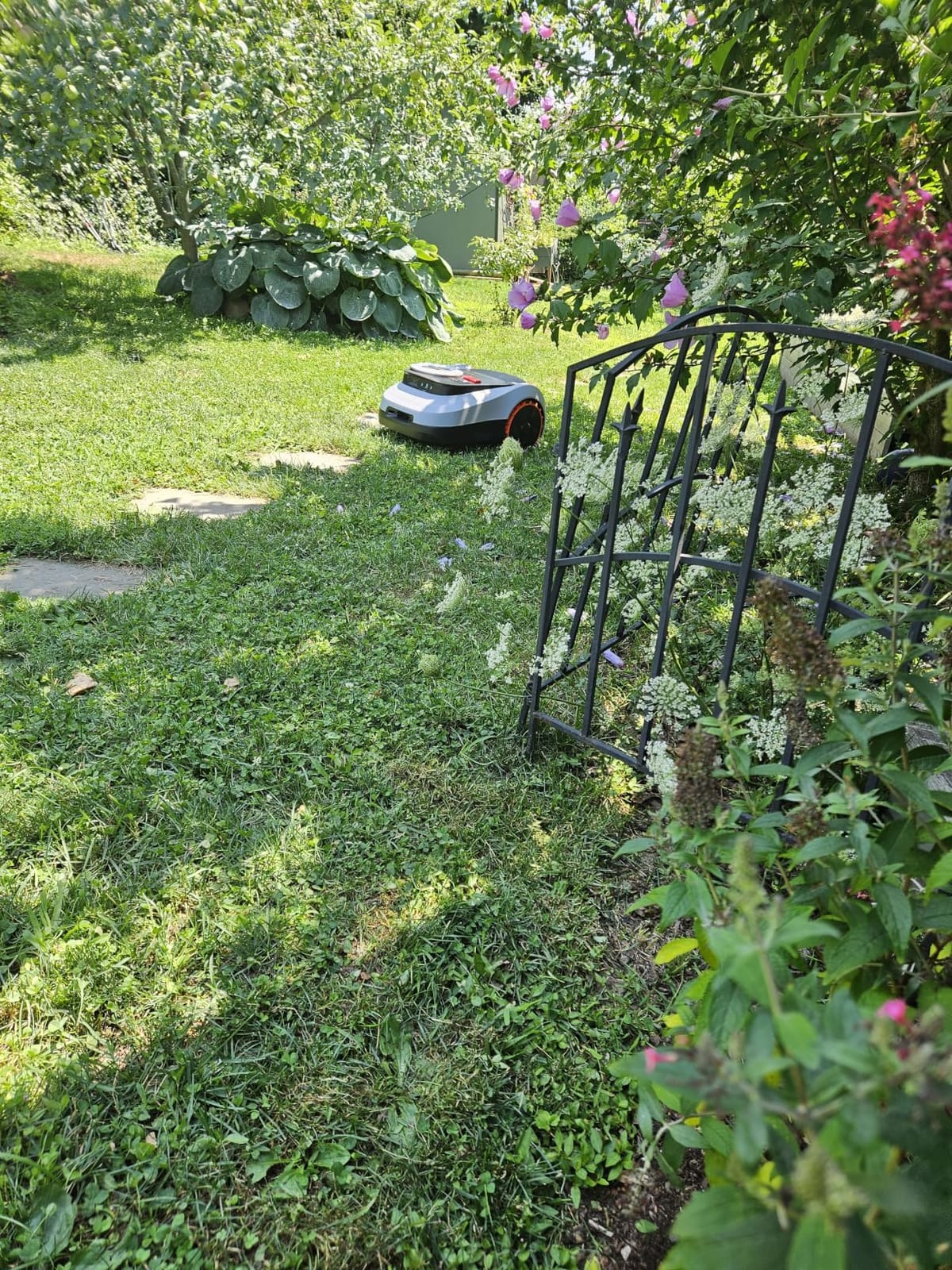 Segway Navimow i215 LiDAR Robot Lawn Mower, Wire Free Robotic Lawn Mower for 0.37 Acre, LiDAR & Vision Dual Fusion, Auto Mapping, Off-Road Wheels for 45% Slopes, Quiet 59 dB(A) Mowing customer photo 1
