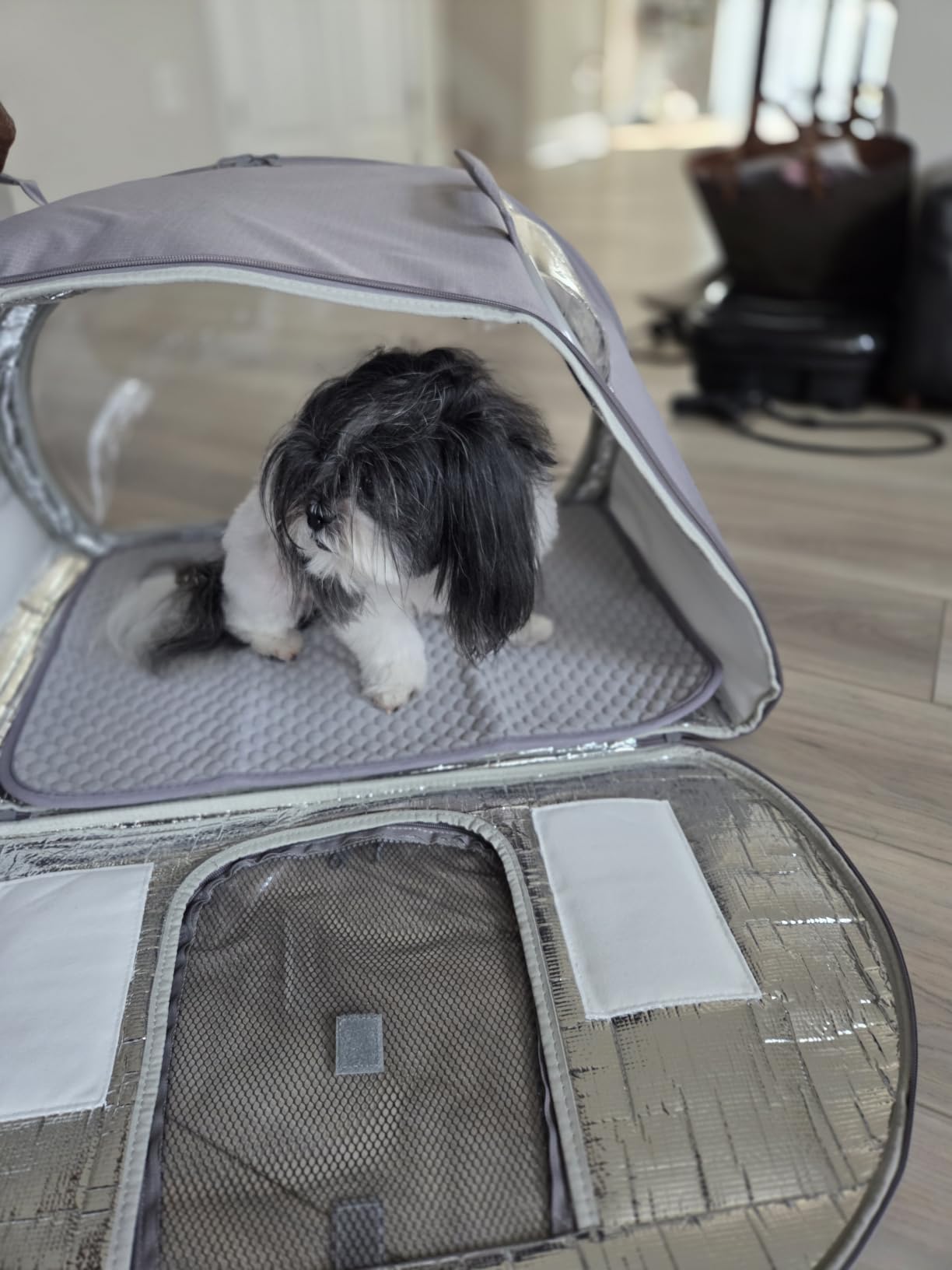 Pecute Cooling Dog House,with Cooling Mat for Small Dogs,Cat Bed,L,Gray | 6 Ice Packs for Cooler,Aluminum Film Insulation System,Breathable, Cool, Safe, and Sturdy AC Room for Cats in Hot Summer Days customer photo 2