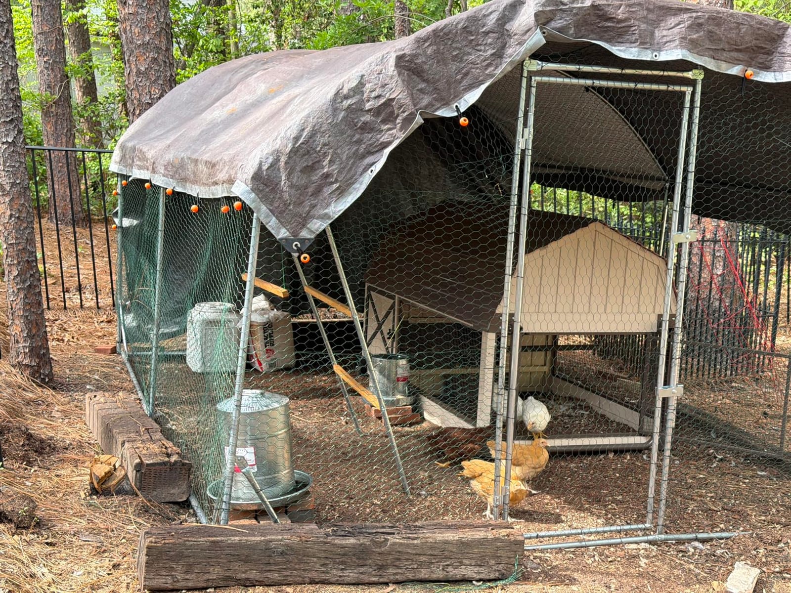 Quictent Essential Series 18x9x6.6ft Metal Chicken Coop Run with Climbing Ladder, Walk-in Outdoor Poultry Cage with PVC Coated Chicken Wire, Hen Duck Rabbit Farm House, Waterproof Anti-UV Cover customer photo 2