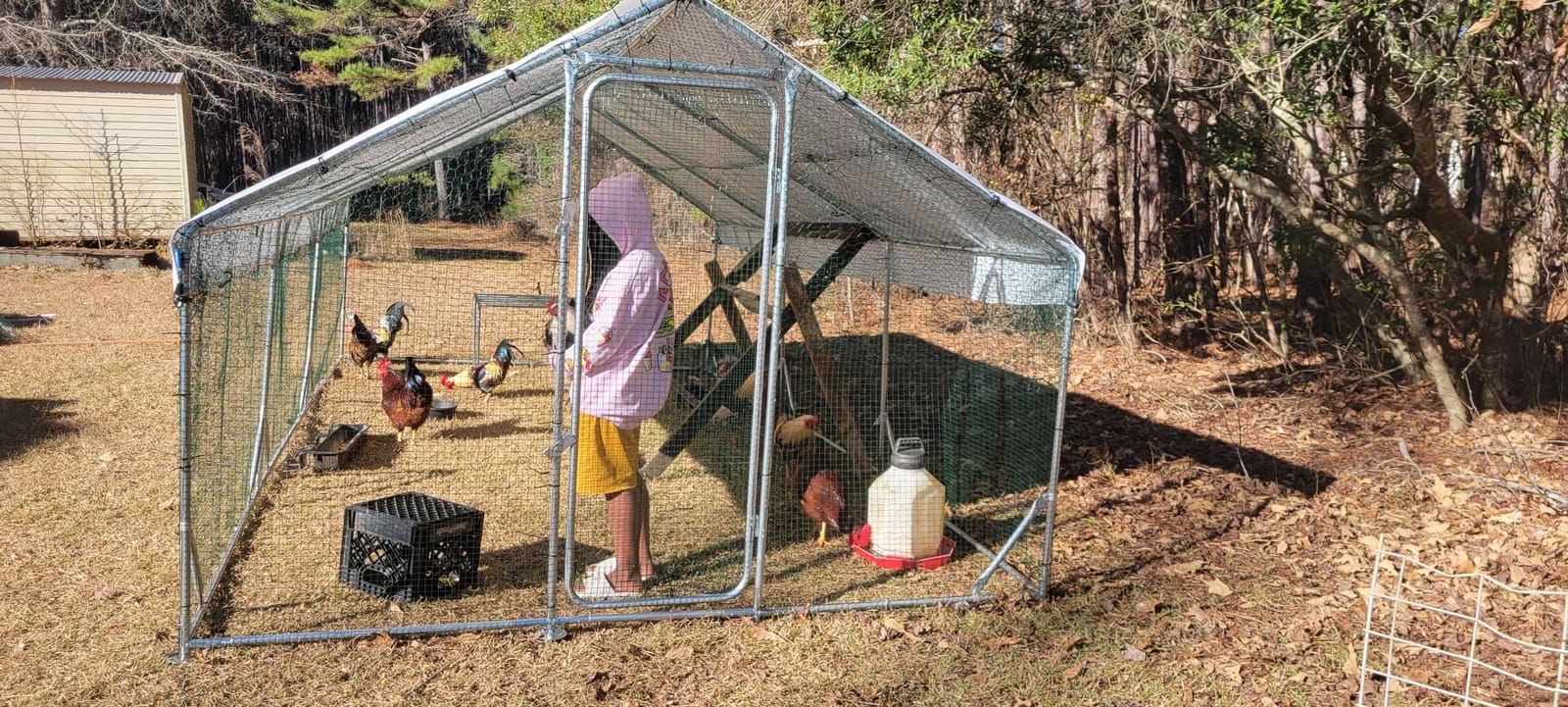 Quictent Large Metal Chicken Coop Run for 30+ Poultry w/Beige Nest Box | Side Hardware Cloth & Cover, Advanced Series Outdoor Walk-in Cage Hen Duck Rabbit Dog Pen Yard Farm House, 18x9x6.6FT customer photo 2