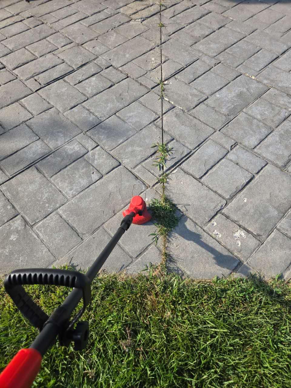 Electric Weed Wacker, 650W Cordless Weed Trimmer with Wheels, 2x2.0Ah 21V Battery Powered Weed Eater, String Trimmer Brush Cutter, Lawn Mower Edger Lawn Tool for Garden Yard customer photo 1