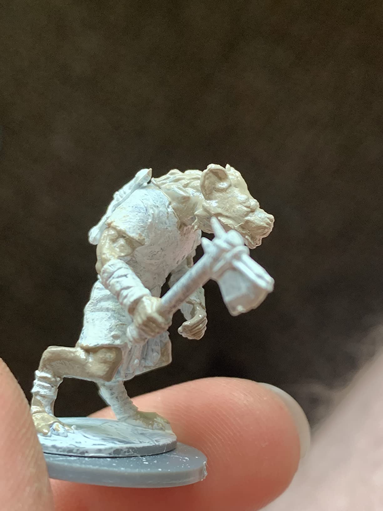 Northstar Military Figures Frostgrave - Gnolls (20) (28mm Scale) (Hard Plastic) customer photo 1