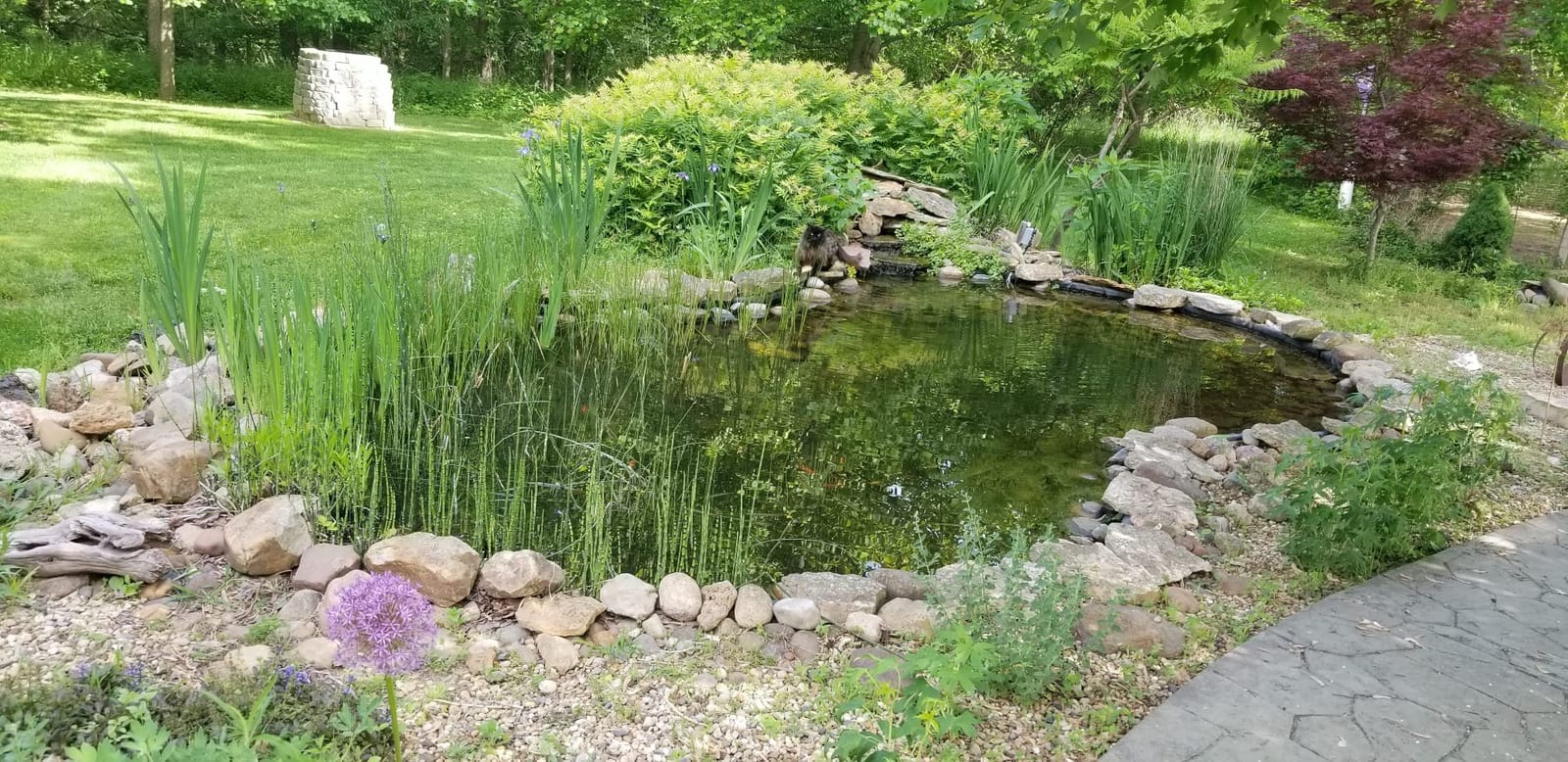 PONDMASTER Danner Manufacturing, Inc 20-Watt Submersible Ultraviolet Clarifier, 02920 customer photo 1