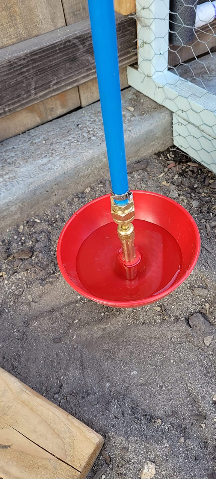 Little Giant® Automatic Poultry Fount | Game Bird Fount | Heavy Duty Plastic | Waterer Bowl with Hose Attachment | 1.5 Quarts customer photo 2