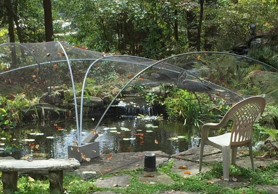 Aquascape Protective Pond Netting with Stakes, 14 Feet x 20 Feet, Reusable, Durable, Black | 98001 customer photo 1