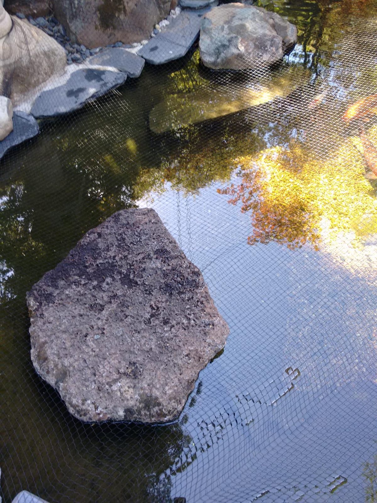 Aquascape Protective Pond Netting with Stakes, 14 Feet x 20 Feet, Reusable, Durable, Black | 98001 customer photo 2