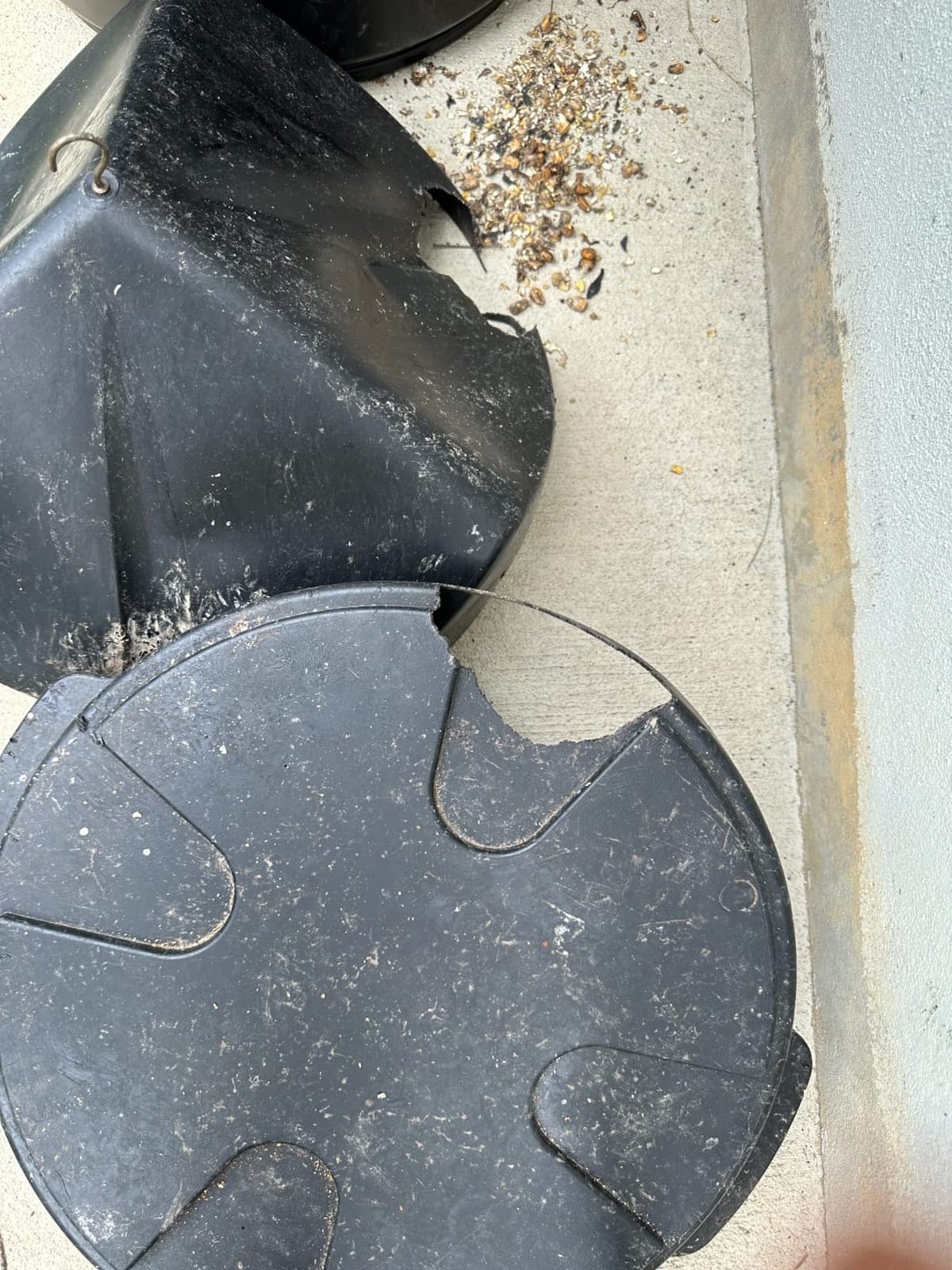 On Time 71540 Buckeye Gravity Feeder customer photo 1