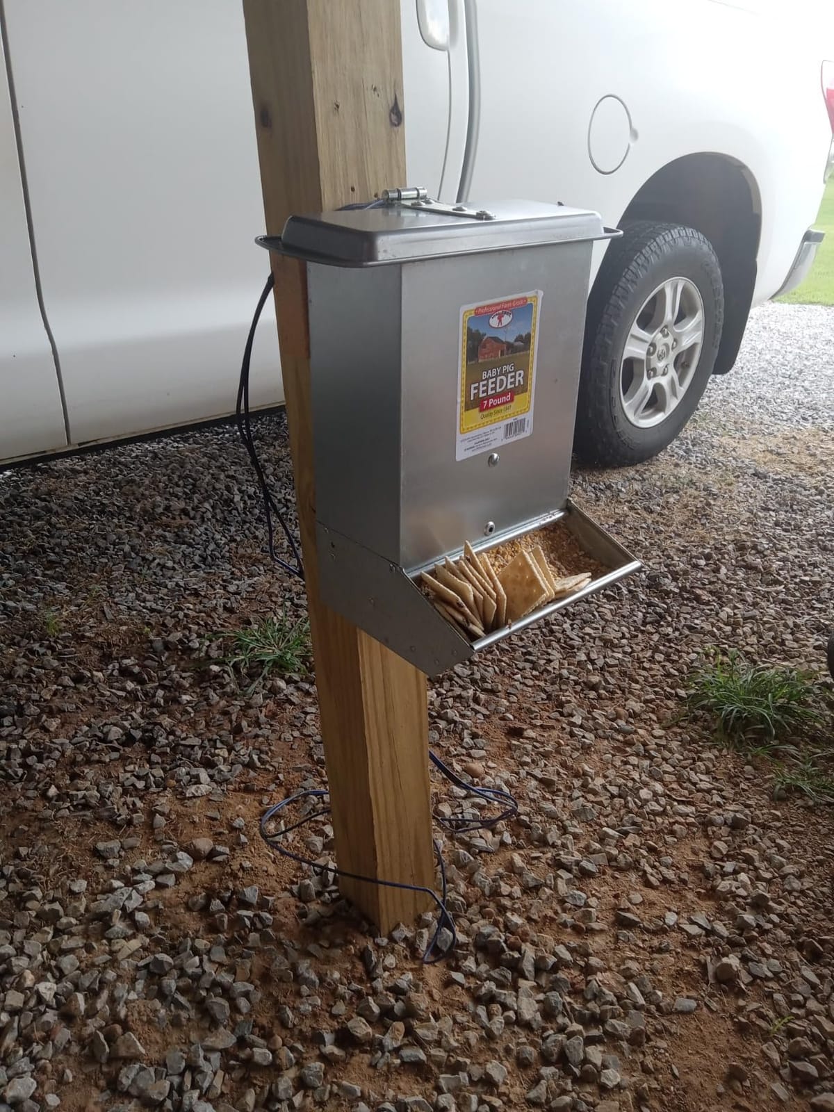 Little Giant® 2-Hole Baby Pig Feeder | Piglet Feeder Trough | Mountable Feeder for Baby Pigs customer photo 1