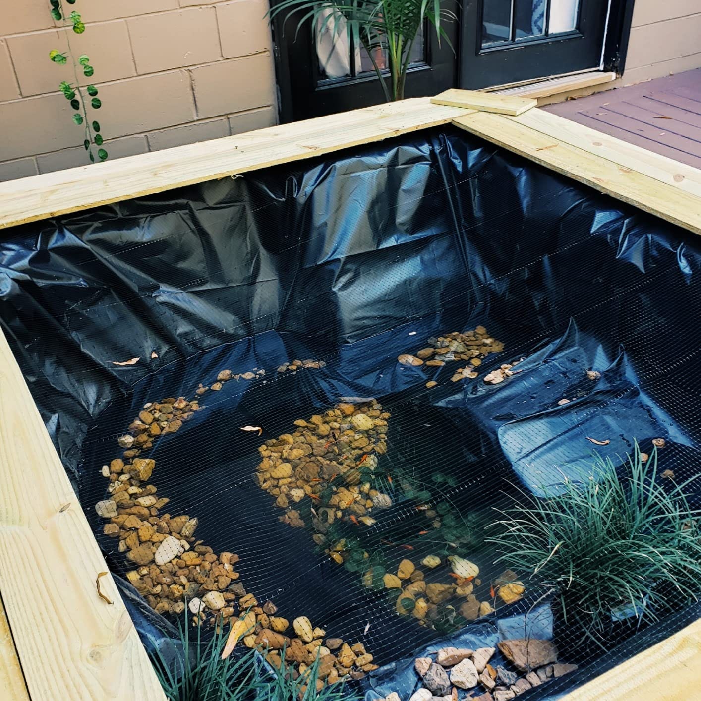Dalen Pond & Pool Netting – Outdoor Water Garden Cover – Protective Mesh for Fish & Aquatic Life - 3/8