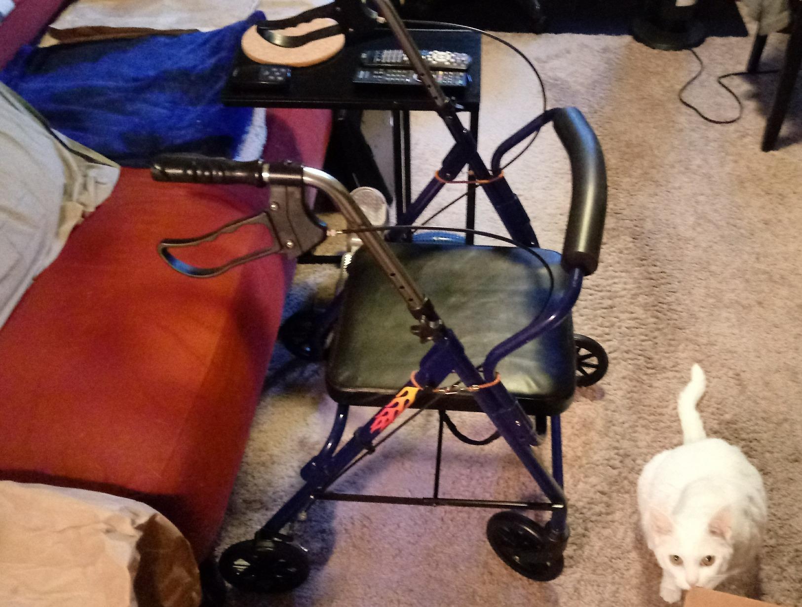 DMI Ultra Lightweight Folding Aluminum Hemi Rollator with Padded Seat, Basket and Adjustable Handle Height, Mobility Walker, Easily Fords, 300 pound Weight Capacity, Titanium customer photo 1