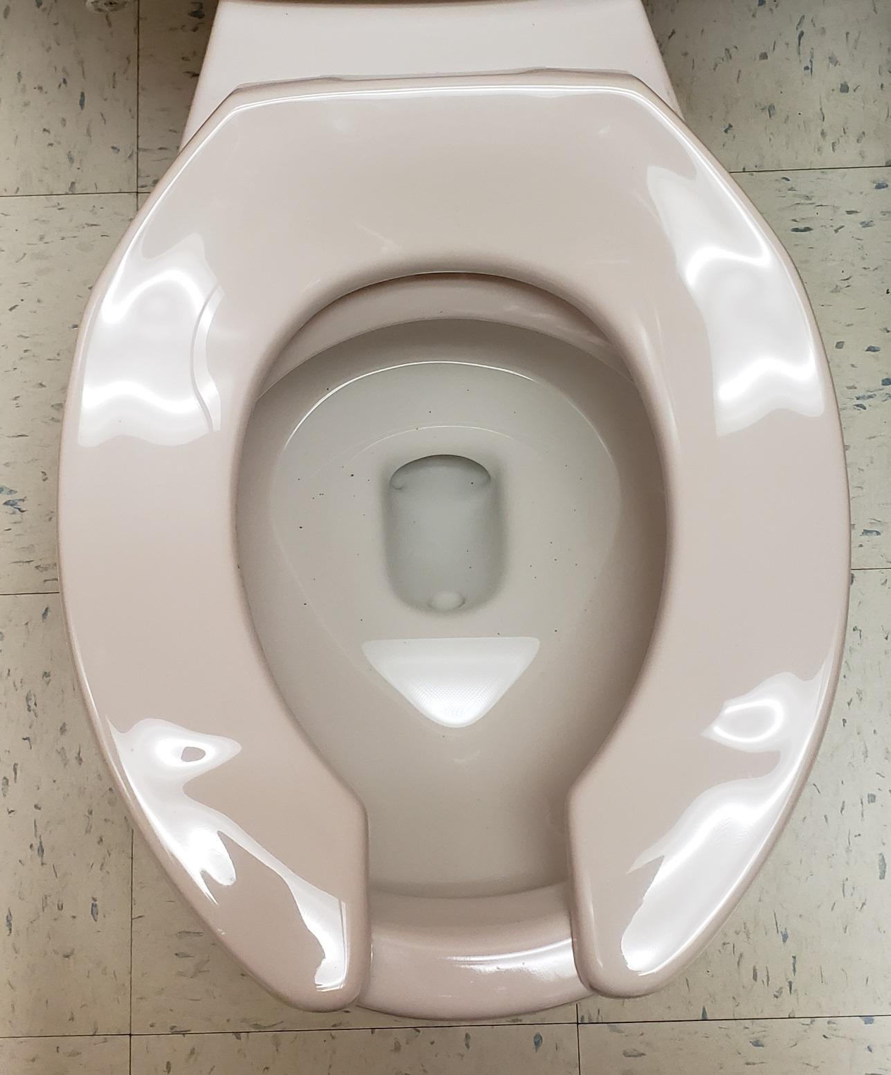 BEMIS 955CT Commercial Open Front Plastic Toilet Seat, Heavy Duty Industrial Seat without Lid, Secure Installation for Long Lasting Use, Made in USA, Round, White customer photo 1