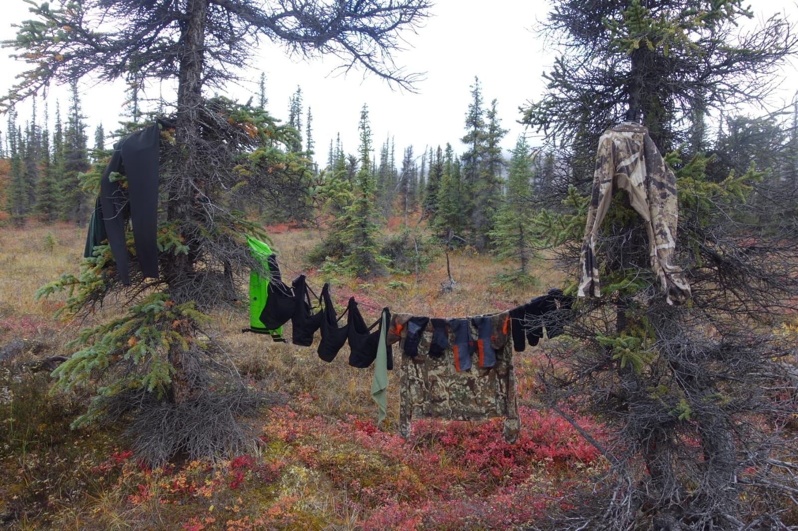 Sea to Summit Lite Line Camping and Travel Clothesline customer photo 1