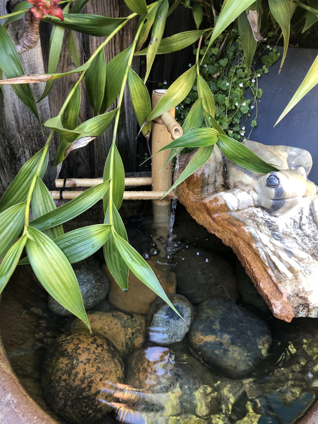 Bamboo Accents 18