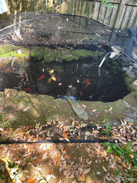 Atlantic Water Gardens PGPLG Pond Netting, 9' by 12', Black customer photo 2