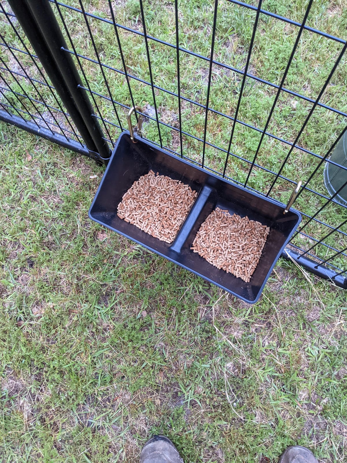 Little Giant® Plastic Fence Feeder | Pig Feeder | Clip On Fence Feeder | Mountable Feed Bucket | 9 Quarts | Black customer photo 1